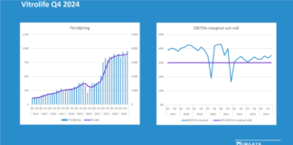 Vitrolife: Rapportkommentar Q4 2024